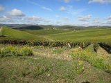 Chianti-1 2016 - 059.jpg